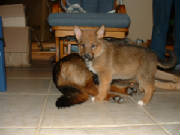 DSCF0094.JPG