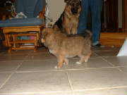 DSCF0098.JPG