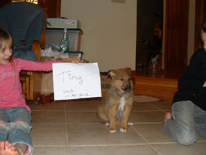 tiny011612.JPG