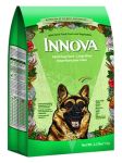 InnovaDog.jpg